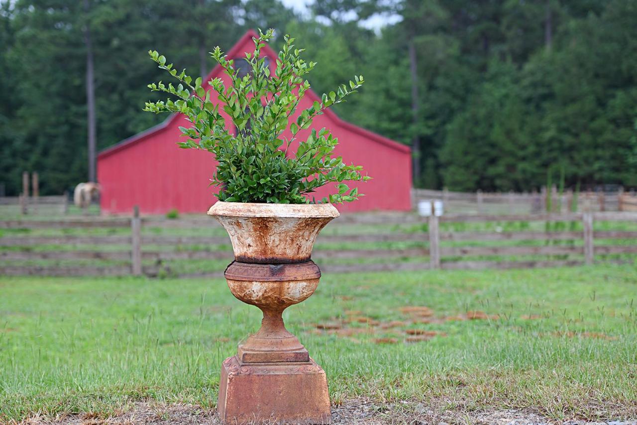 Bed and Breakfast Coulter Farmstead Washington Exteriér fotografie